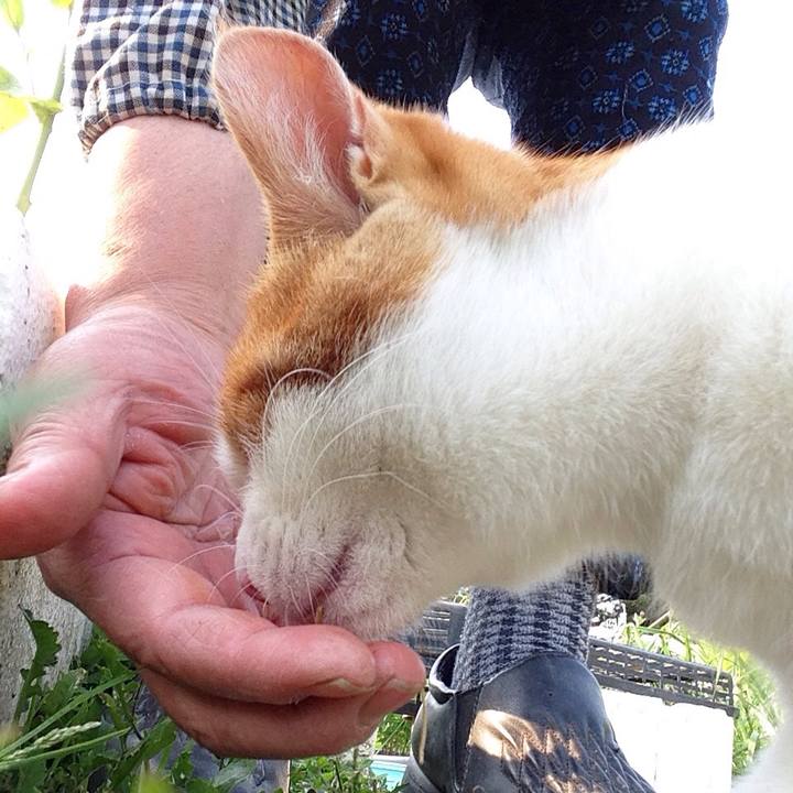 F9cc9229 732d 48c2 b384 4a99b04aacc7