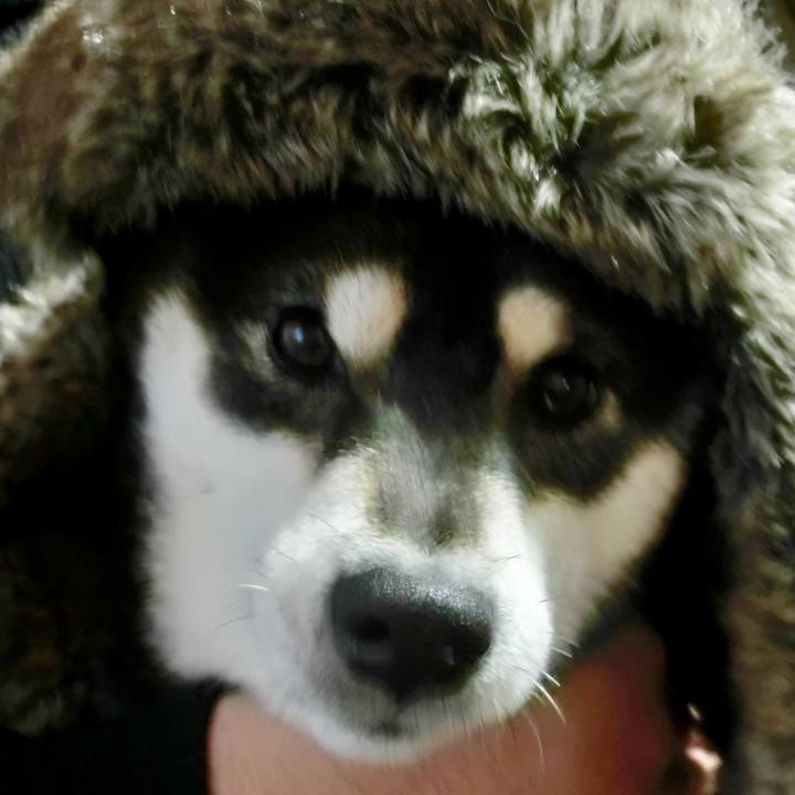 F9cce0b6 7cdc 4387 9a9b b158868ca454