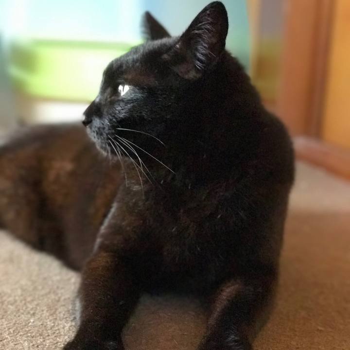 F9cd40b3 08fd 4c14 8f26 1c067a405eff