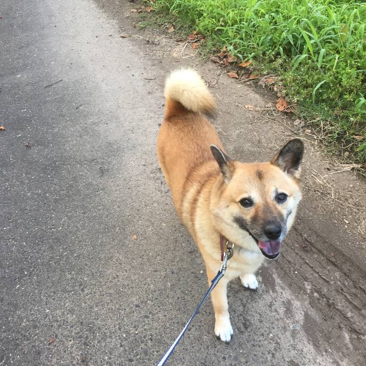 F9ce1058 8084 4faf 91e8 b82a9a70f29e