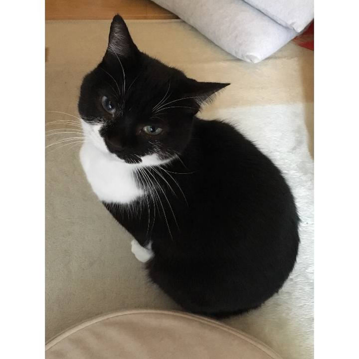 F9ce5457 bb28 447f b81a b738575e7f09