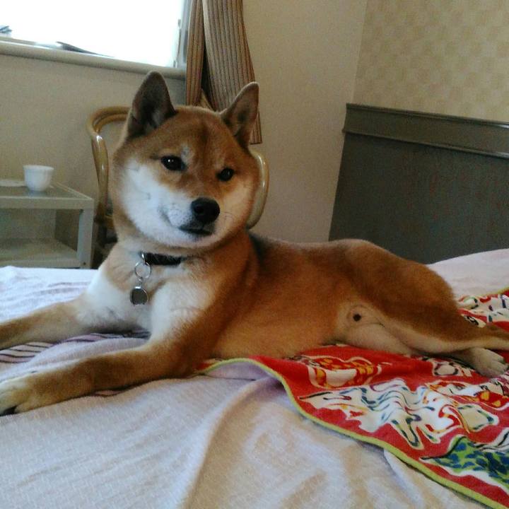 F9ce6e50 b959 43ee 9ca1 93aa7c904f63