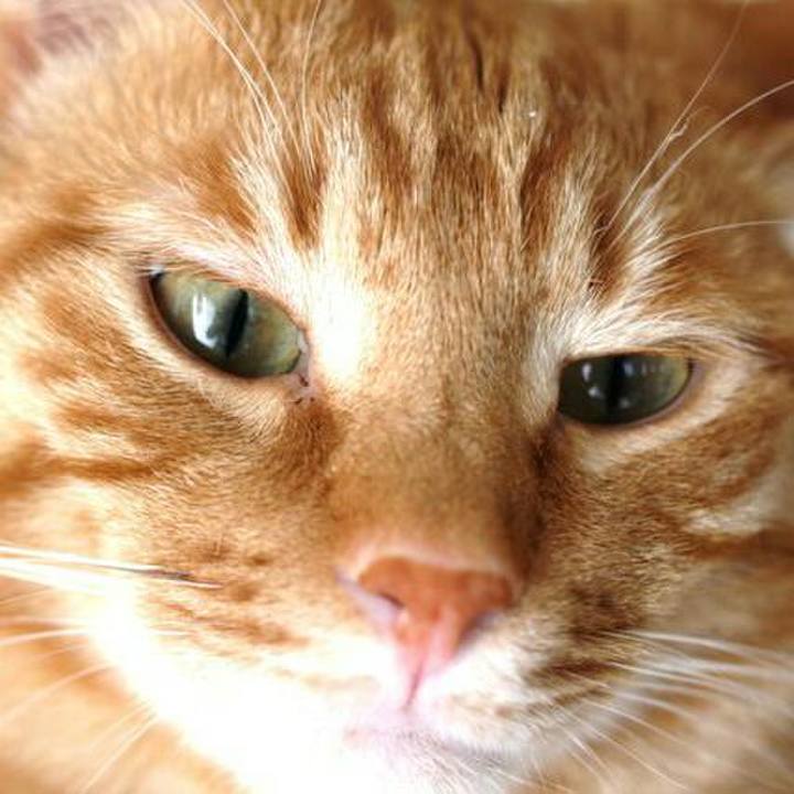 F9ce73bb 225b 45ac a5b6 c13bf4a501cf