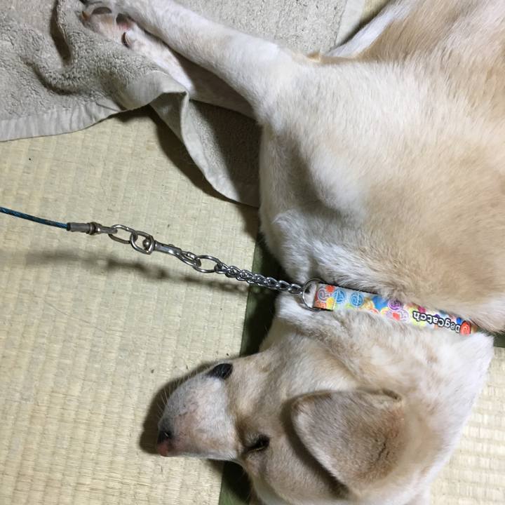 F9ced22b 1b26 487f adef 899070e75adb