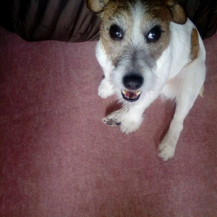 F9cf63eb 95f0 4ec7 8fc2 141d483696a6