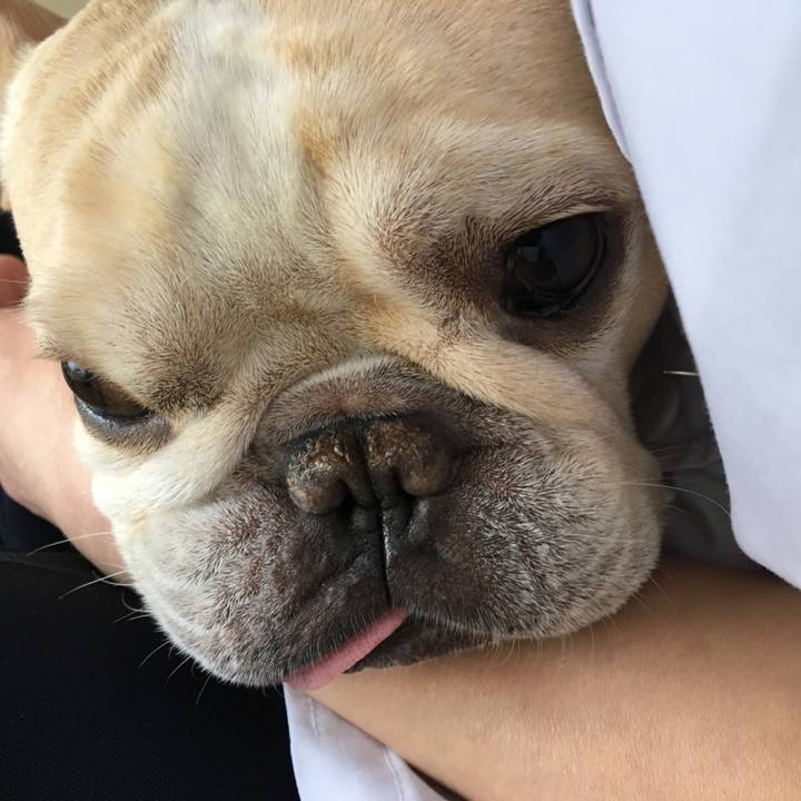 F9d0b0e9 feca 4835 b41e 285d685259c5