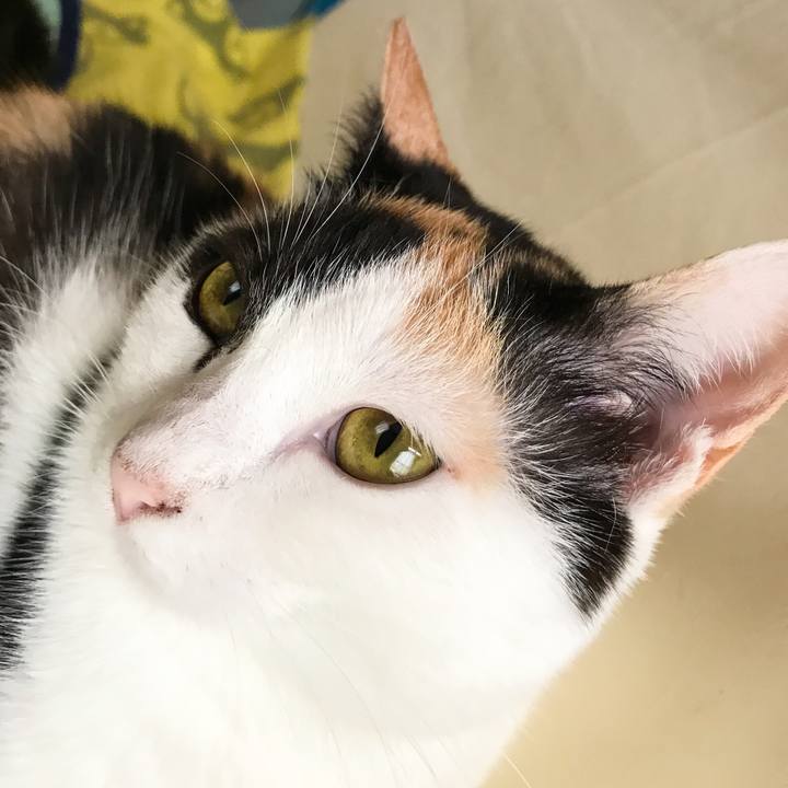 F9d0b126 bdc8 470d aced e0d453c262ca