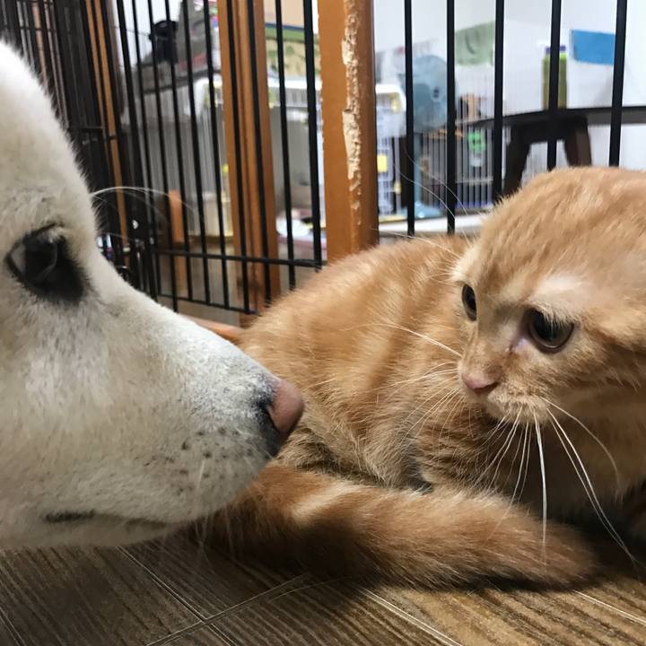 F9d0e59e e9b9 4ea9 b7e3 d9c64f0d4bdc