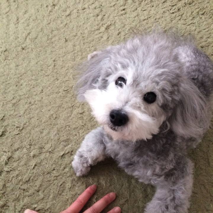 F9d0f023 ac9a 4937 b98b 9f0649e8dab9