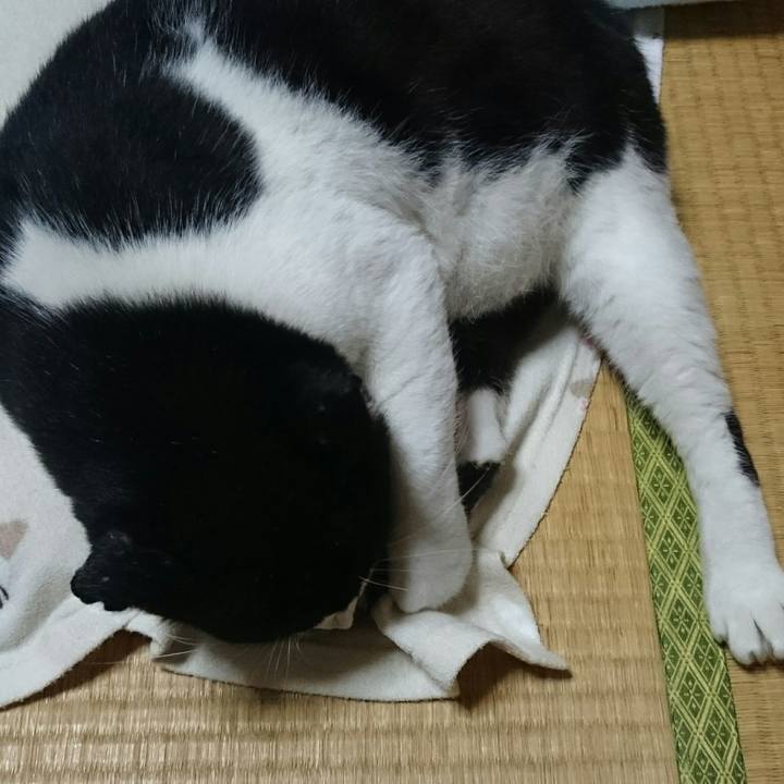 F9d1ad6b d022 43d6 be78 f0c656c50ba0