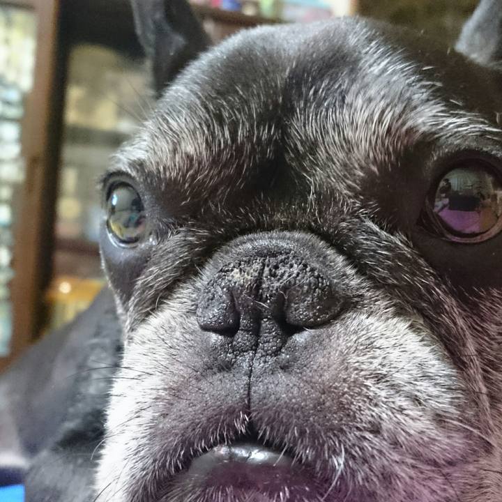 F9d21e87 9d91 4100 aa6d 49b498d253c0