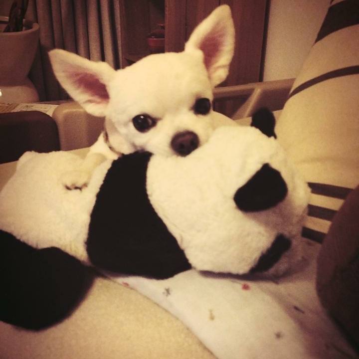 F9d28358 e803 4b31 97b6 93cc3772d8d5