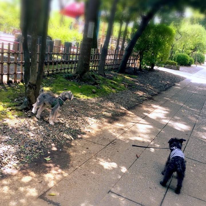 F9d296be 2940 4387 b3e4 6040dfca5a58