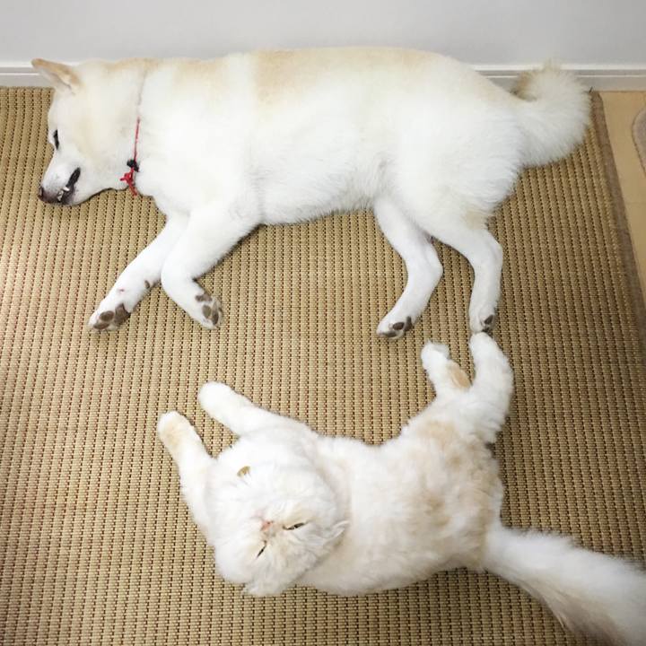 F9d2b7bd 7dd4 4c14 b814 1f6c8c6ba652