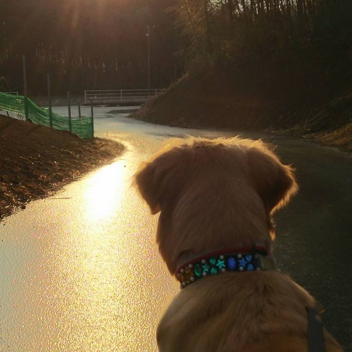 F9d433e4 a0f8 4bce 8937 9bfad8ab1113