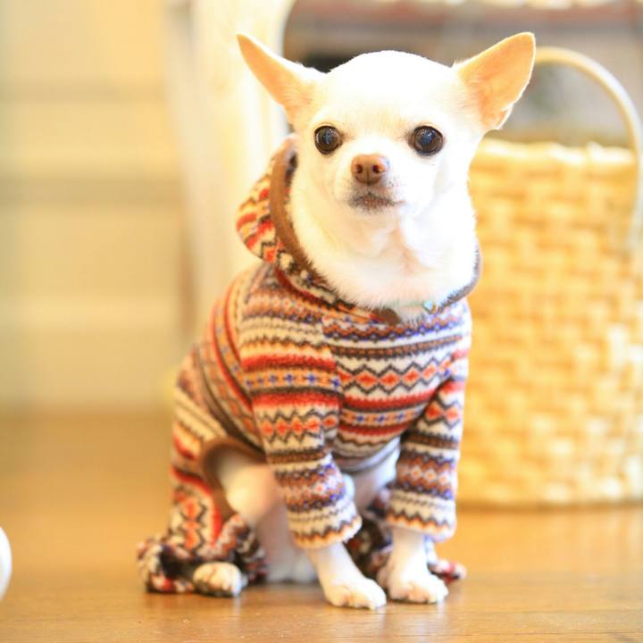 F9d440d9 c8d6 4d63 88f4 7936d3c6ce8f