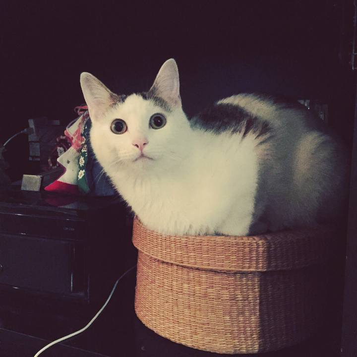 F9d4b174 9a61 4dc7 bccd 5cd6081a6e90