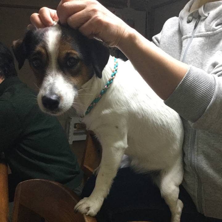 F9d517f6 ecb9 4161 b91d f34765199b12