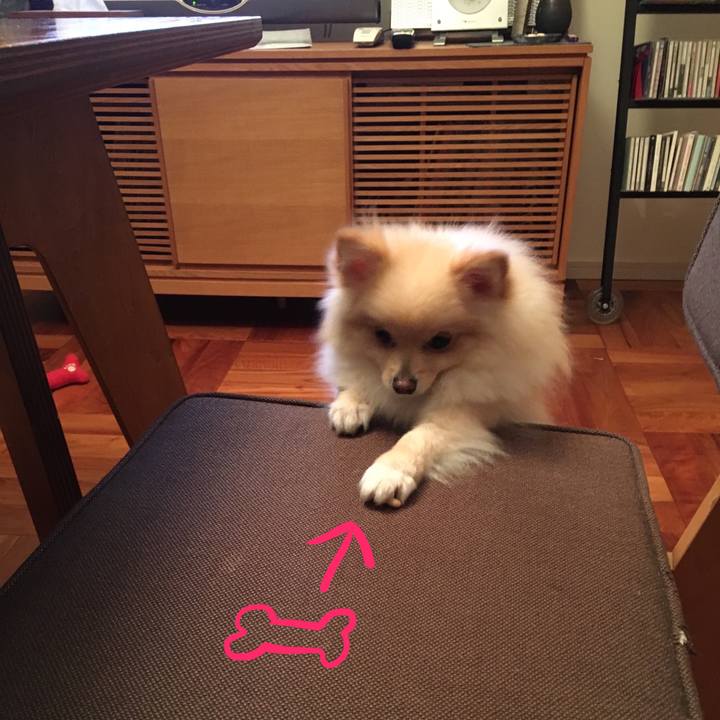 F9d5f9cb bab7 4fe7 b4db 3bd1a060c2fe