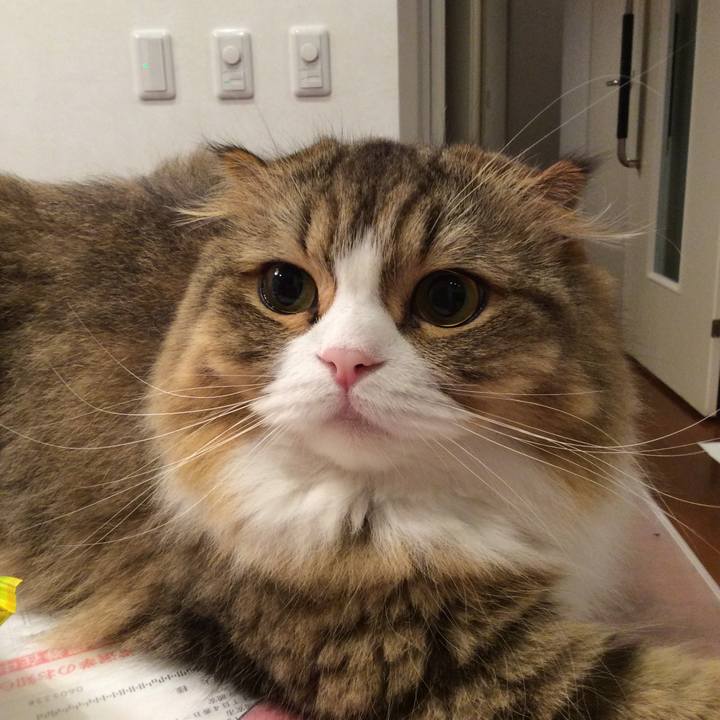 F9d6002e caa1 41af 9a25 0cde7e5b4df6