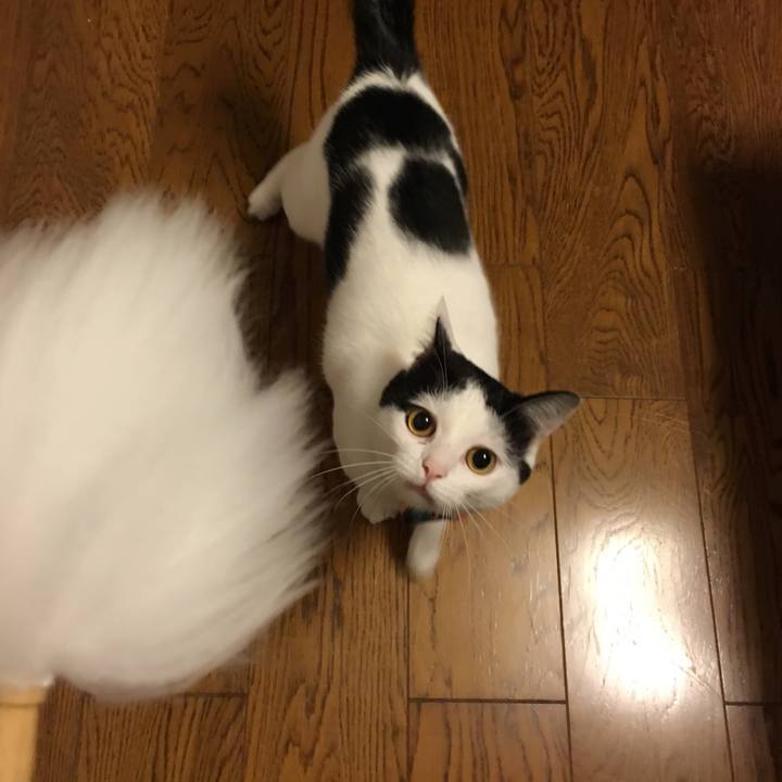 F9d67471 fab1 42db 85c6 fa60ced6be2e