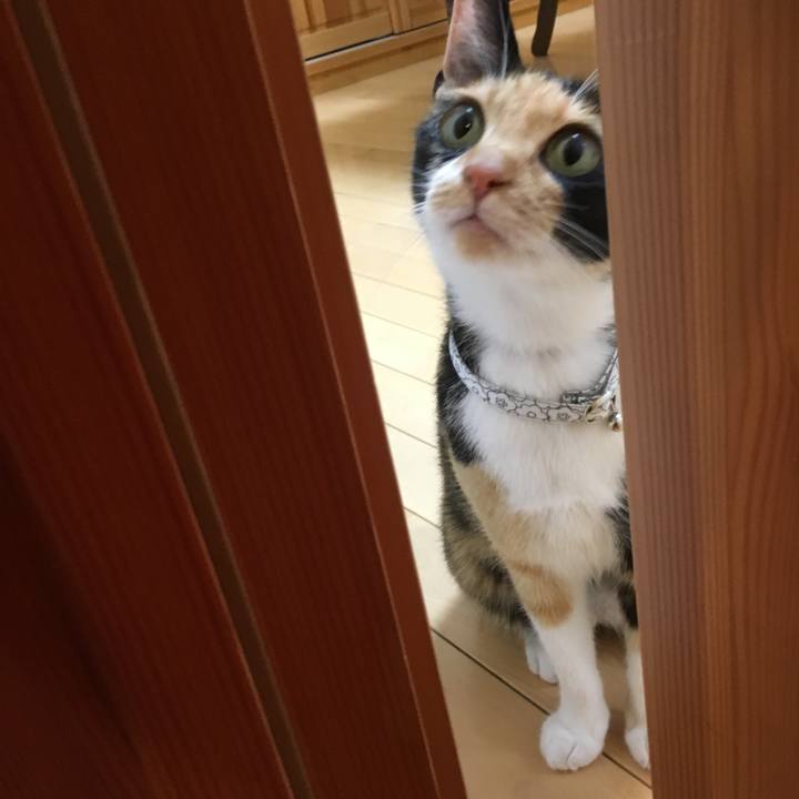 F9d69ad2 b18b 47b8 b34e 72d2c3395b7e