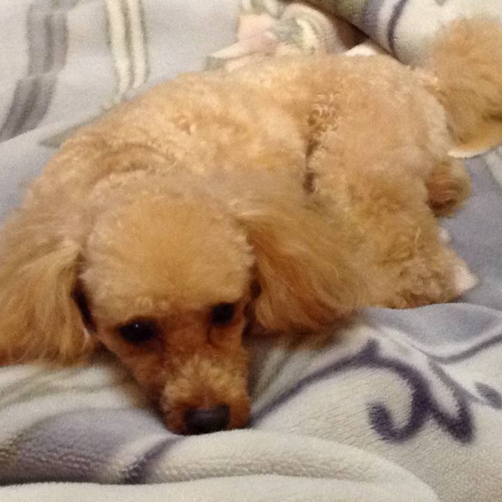 F9d71310 afac 4dc3 8bdf 927aa4763e84