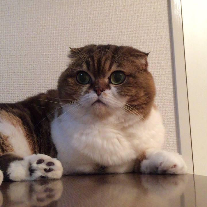 F9d71fc8 1f01 4125 8638 d9cd9e68bcf2