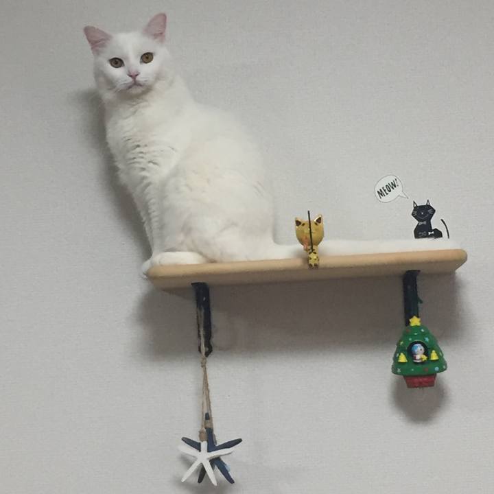 F9d814c4 8874 4347 8629 84fd86cbae0b