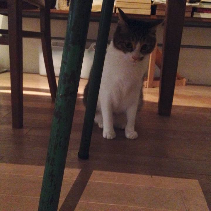 F9d83cf8 1295 4da5 926c 2973705fe2c3