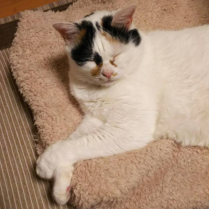 F9d889d3 7c80 4c54 9b9e 18239b2d9b7b