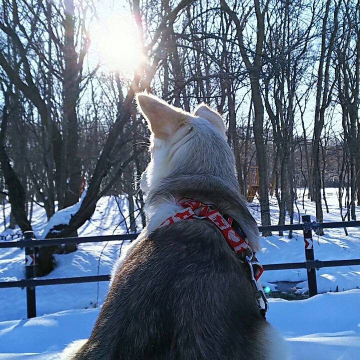 F9d8963f 9596 45bc abd4 7f78e86f947c