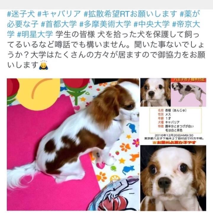 F9d9aa3e 31ca 4b09 9b85 0e13b5a1474e