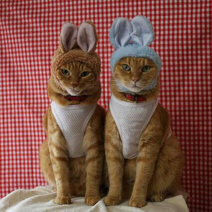 F9da2720 e296 4b80 ae3b 05c5e201e1b5