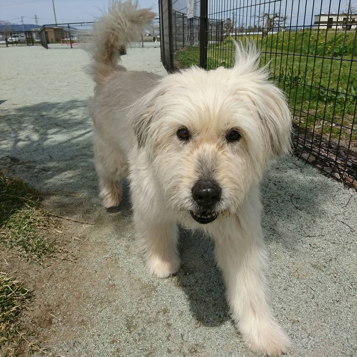 F9da4839 9f80 4dee b0c7 c4660ed2aacf