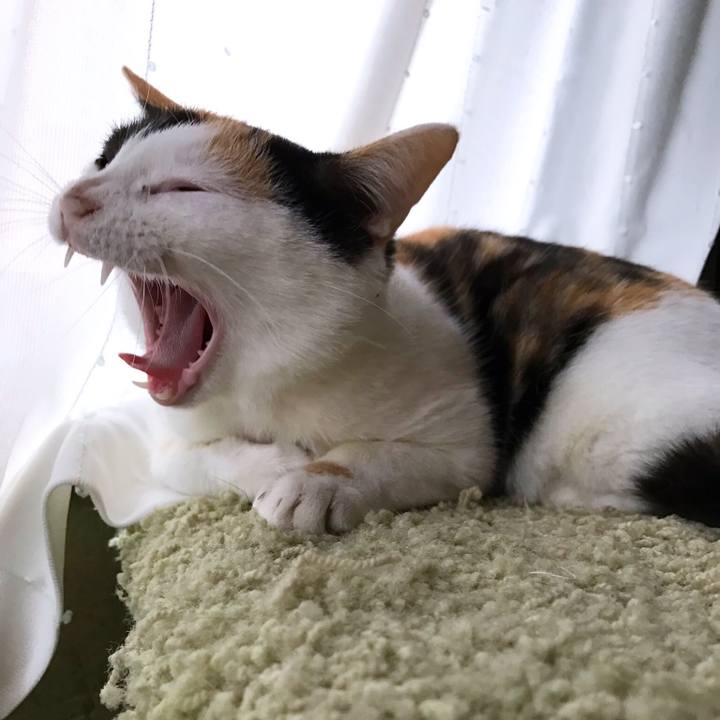 F9da9233 0b0f 4abb bc48 fc9c89c8cb48