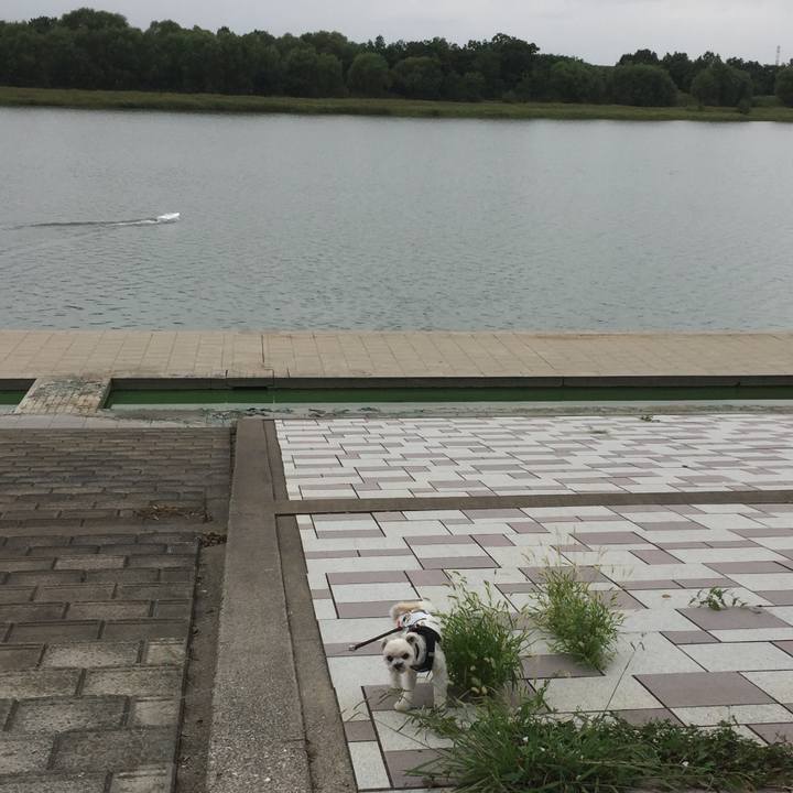 F9db3af4 5726 43ce 80be 85a43d1bfaae