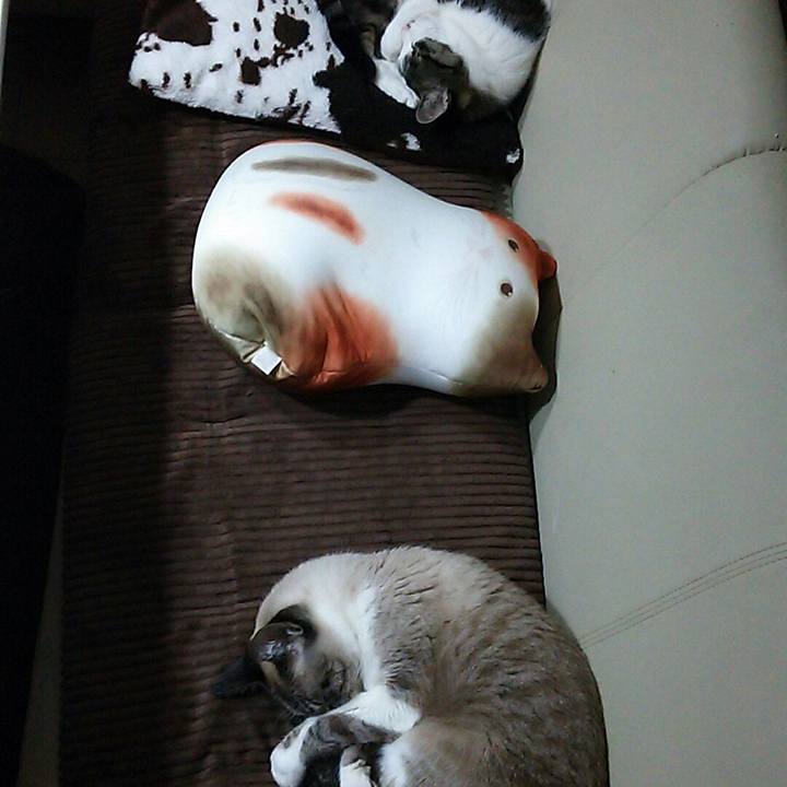 F9dc04bf cfaf 424b 8126 38f1e916491c