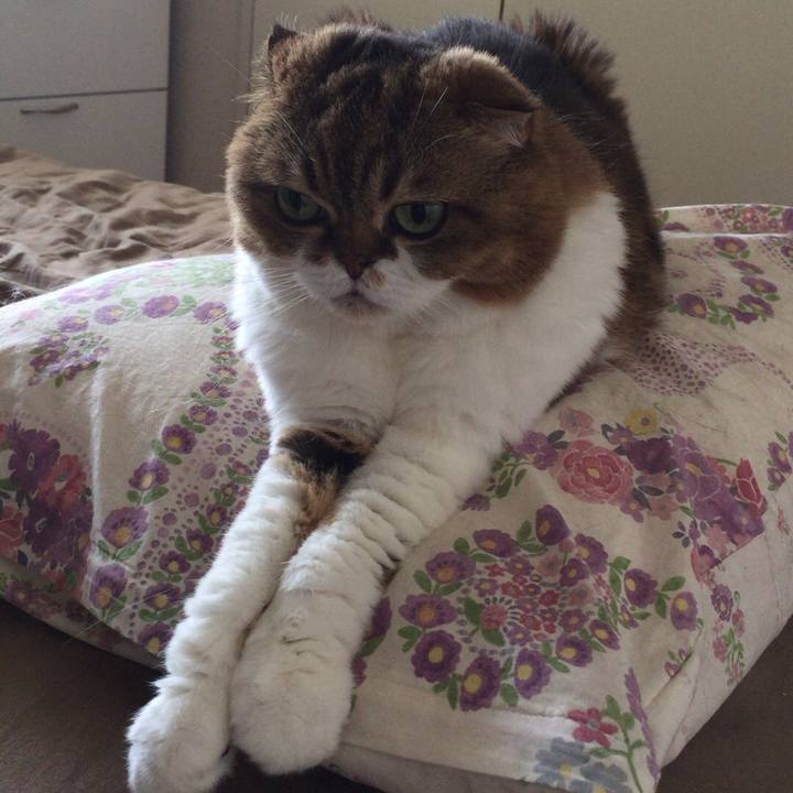 F9dc3467 d8dc 4d3c 82eb 0b779629f333