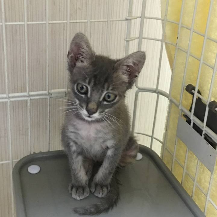 F9dc5dc0 7dce 442a b08a 21daaa2de683