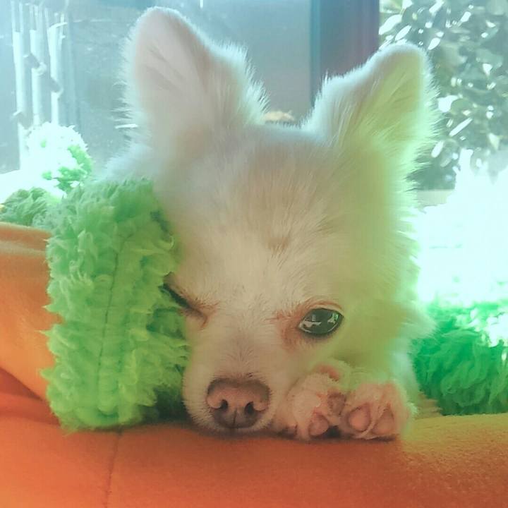 F9dcfcd5 b708 4972 8981 c20619c67a45