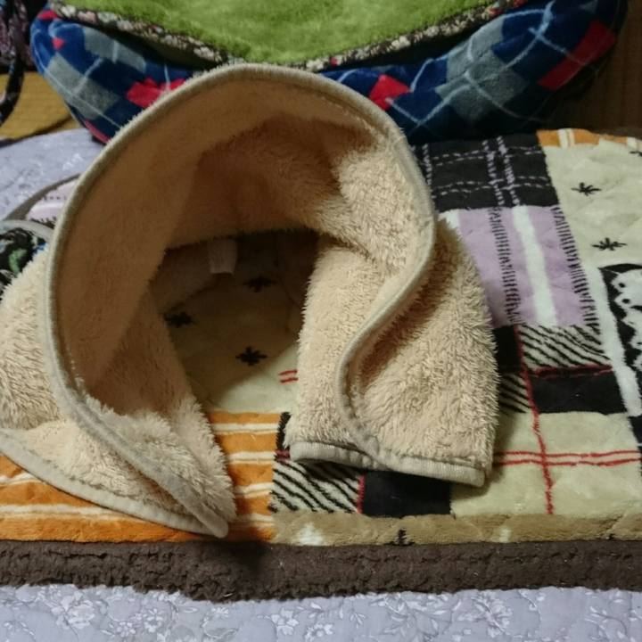 F9dd3fd7 973a 4cfe 9dc4 bca0ae0848f9