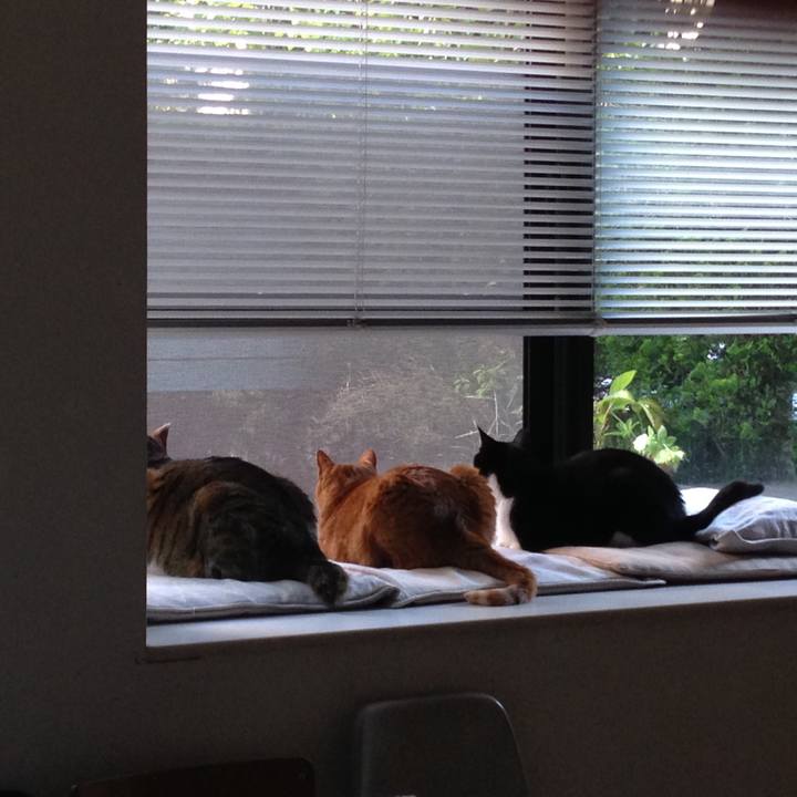 F9dde5b2 0e8a 40a2 aeb0 cd6f731f9486