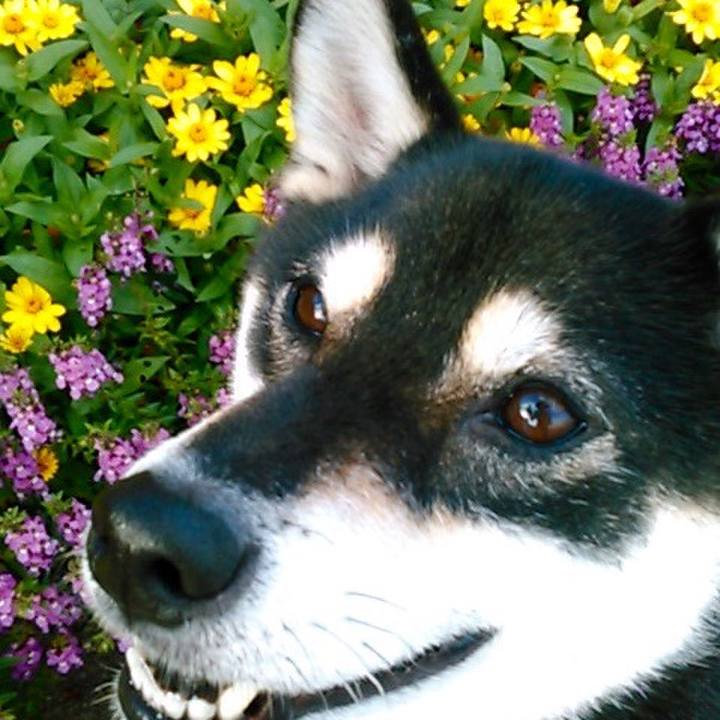 F9ddfd1f ccb2 42a9 a0b2 cfde57db8c06