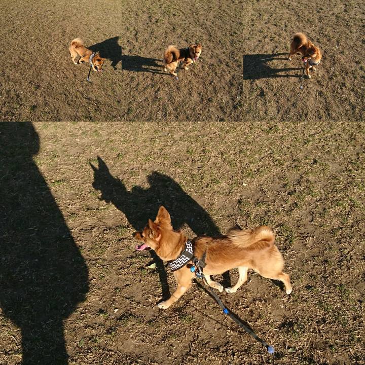 F9de1d6d 5403 429d 9dde 80f3f8520e68