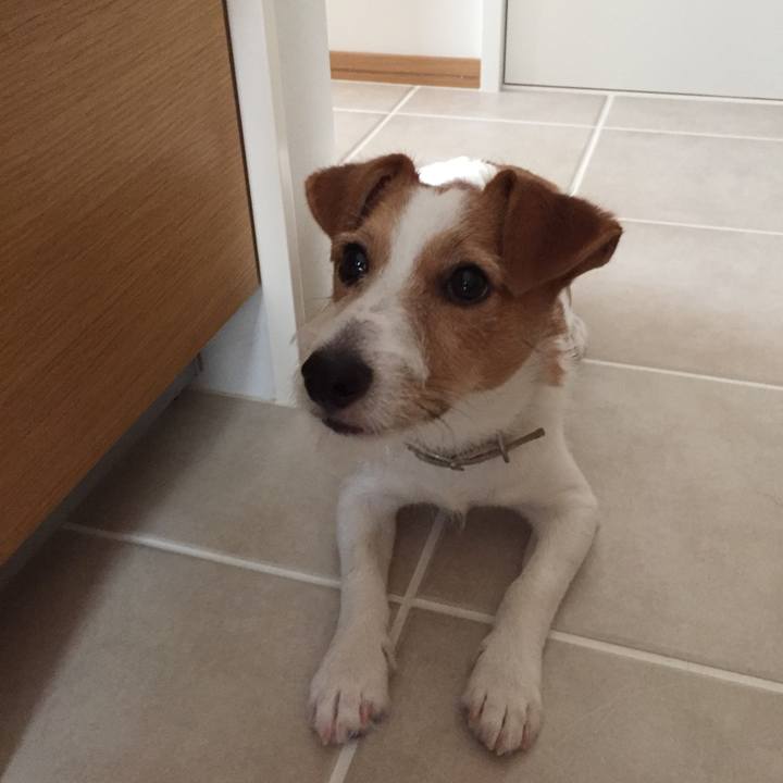 F9de3050 fc37 4dcb a482 fb3f1e1838ab