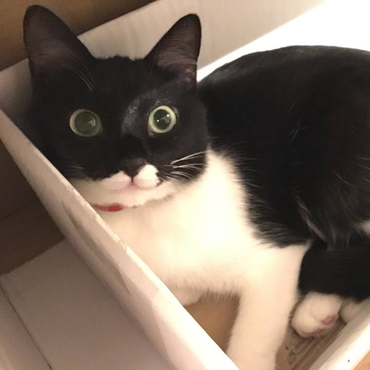 F9de427a e9cf 45e4 968b 40619d941662