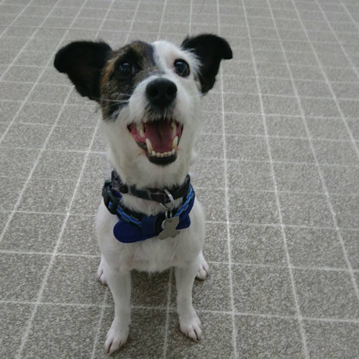 F9de5e4c 361b 4e8c 8f49 cfc6aa46e4c8