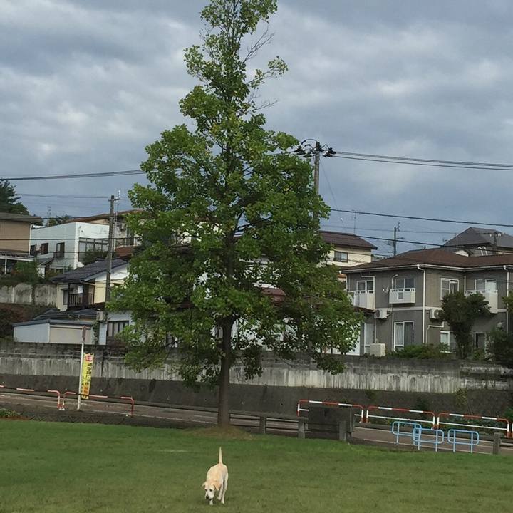 F9e021a4 4f17 4a87 9e3b b08a555d151e