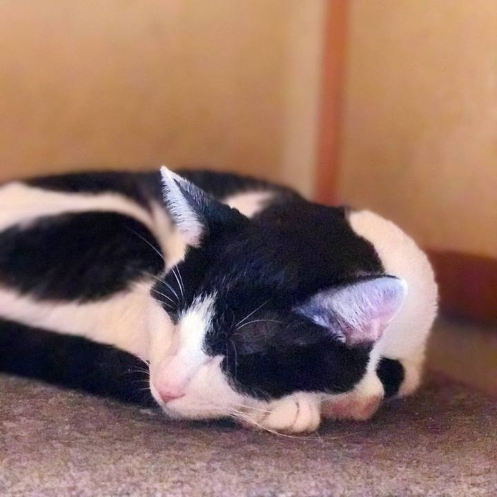 F9e07ffb be2f 4749 bd26 b000a64e15c5